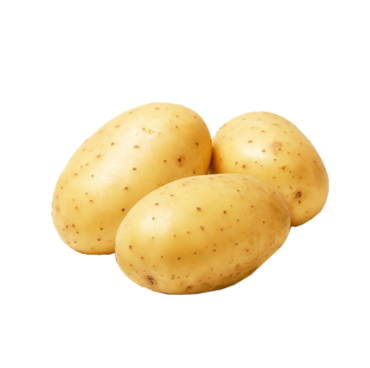 Fresh potatoes, png