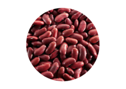 Common beans, png