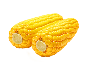 Corn, png