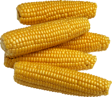 Sweet corn, png