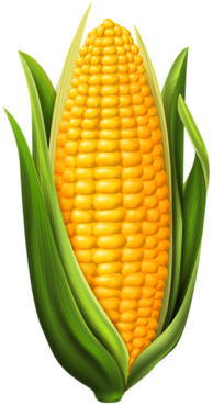 Corn, food, png