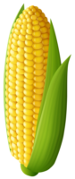 Corn, vector, png