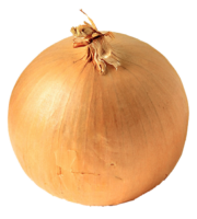 Onions, food, vegetables