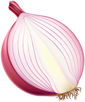 Red onion, food, vegetables