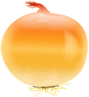 Onions, food, vegetables, harvest