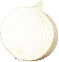 Onion, harvest, food, vegetables