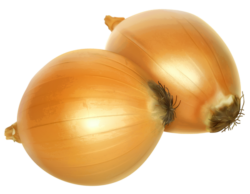 Onions, herbs, food, vegetables