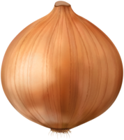 Onions, herbs, vegetables, food