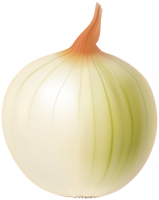 Onion, dinner, food, lunch