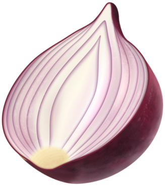 Red onion, vector, clipart, food