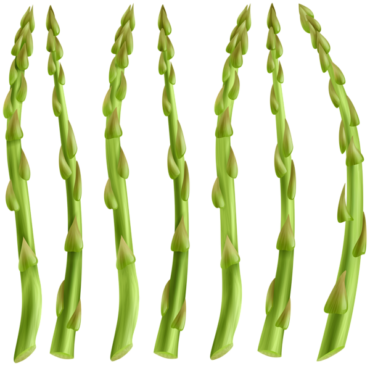 Green asparagus, plant, vegetables, food