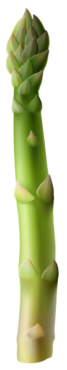 Green asparagus, plant, food, vegetables