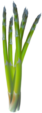 Asparagus, food, vegetables