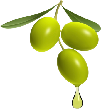 Olives, olive oil