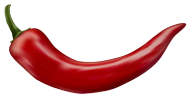 Chili hot pepper