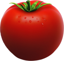 Tomato, drawing, food, dinner