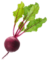 Food, beets, vegetables