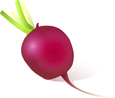 Recipe, vegetables, beets, food