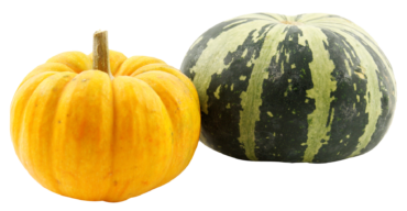 Different pumpkins