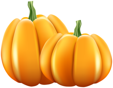 Pumpkin, autumn, harvest, dinner