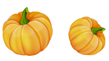 Pumpkin, harvest, autumn, comfort