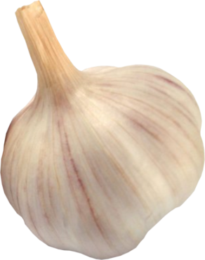 Garlic, png