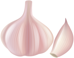 Fresh garlic png, garlic, food
