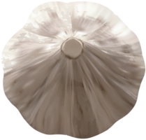 Vegetables, png, garlic top view
