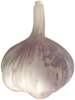 Food, png, garlic, recipe
