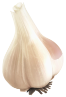 Food, png, garlic, recipe, dinner