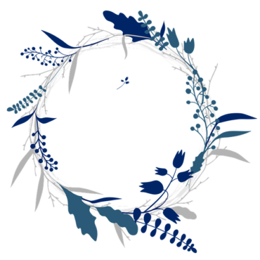 Frame, wreath, photo , png