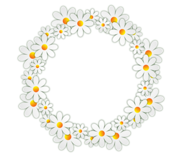 Frame of daisies , png