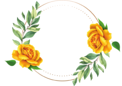 Yellow roses, frame , png