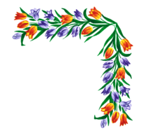 Flowers, frame, photo, png