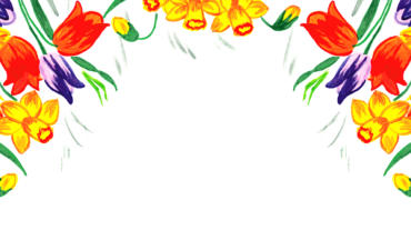 Tulip Flower-Flower Border