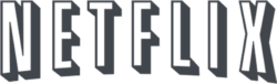 Netflix old logo