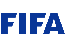 Fifa icon