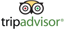 Tripadvisor icon