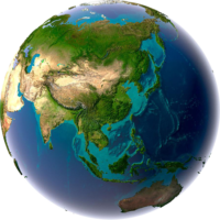 The globe