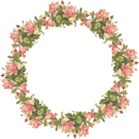 Roses, frame, photo