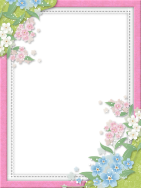 Photo frame, png, flowers