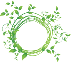Green Photo Frame