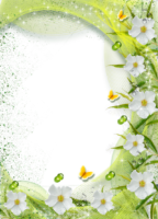 Photo frame, green frame with flowers