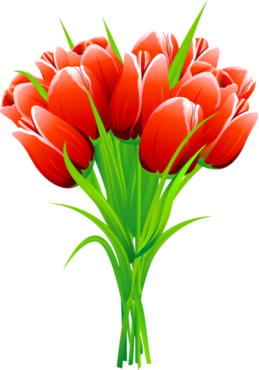 Tulips, png, red tulips