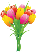 Bouquet of tulips, flowers