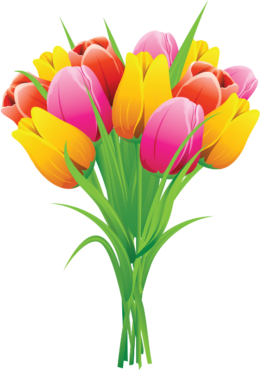 Bouquet of tulips, flowers