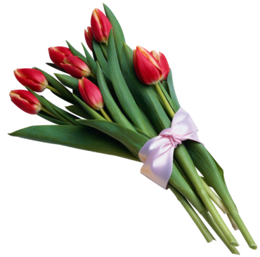 Tulips, flowers, png, bouquets