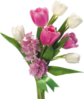 Tulips, flowers, png, plant