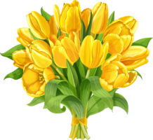 Bouquet of yellow tulips