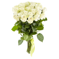 Bouquet of flowers, white roses